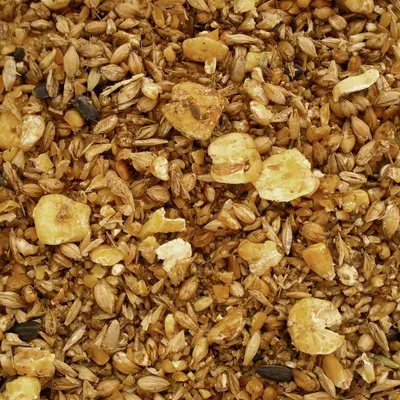 Mélange de grains et céréales concassés, morceaux visibles d’orge, maïs et autres graines. Aucun emballage ni marque apparente.