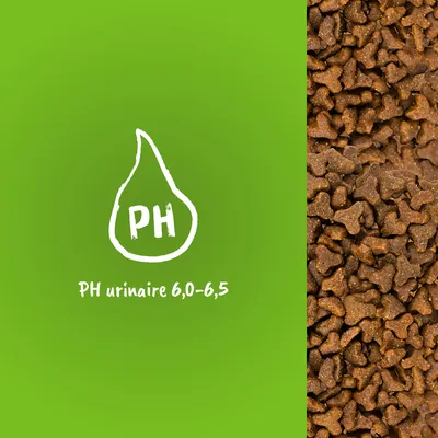 Croquettes en gros plan, texte visible : PH urinaire 6,0–6,5