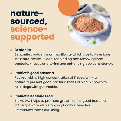 Seraquin Digest for Cats & Dogs