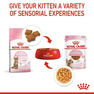 ROYAL CANIN Kitten Sterilised 6–12 months: opakowanie suchej karmy, miska z suchą i mokrą karmą, opakowanie mokrej karmy 85 g, widoczne kawałki karmy. Tekst po angielsku.