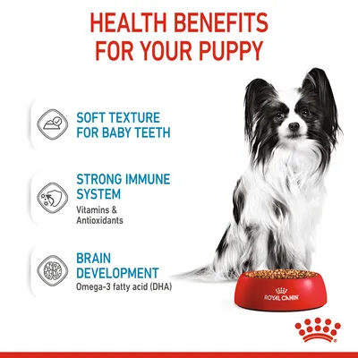 Health benefits for your puppy: soft texture for baby teeth, strong immune system with vitamins and antioxidants, brain development with omega-3 fatty acid (DHA).