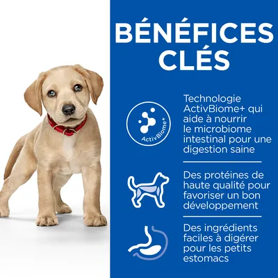 BÉNÉFICES CLÉS : Technologie ActivBiome+ pour la digestion, protéines de haute qualité pour le développement, ingrédients faciles à digérer pour petits estomacs. Texte en fr_BE.