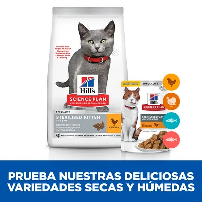 Hill's Science Plan Sterilised Kitten y Sterilised Cat, comida seca y húmeda para gatos esterilizados. Texto: Prueba nuestras deliciosas variedades secas y húmedas.