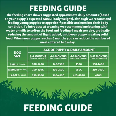 Feeding guide showing daily food amounts for small, medium and large dogs by age group from 2 to 12 months, with advice on meal frequency and transitioning to solid food.