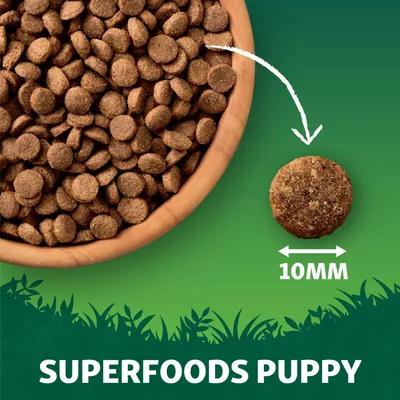 Kibble size shown as 10mm diameter with a close-up of one piece and a bowl filled with kibble. Text reads: Superfoods Puppy.
