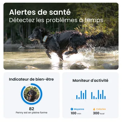 Alertes de santé : détectez les problèmes à temps. Indicateur de bien-être 82, Penny est en pleine forme. Moniteur d’activité : moyenne 100 min, calories 300 kcal.