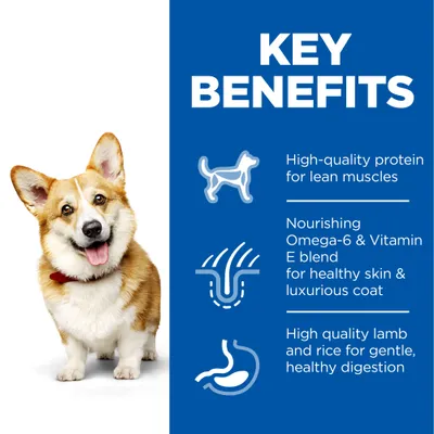 Key Benefits: High-quality protein for lean muscles, Nourishing Omega-6 & Vitamin E blend for healthy skin & luxurious coat, High quality lamb and rice for gentle, healthy digestion. Angol nyelvű szöveg.