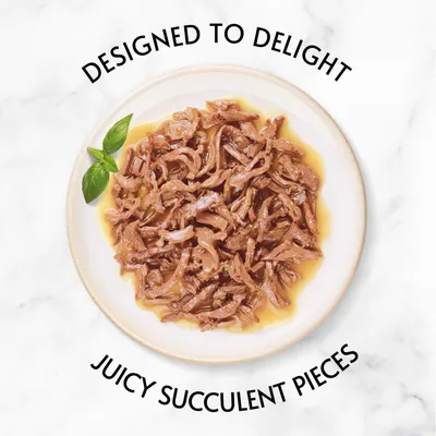 Plate of juicy succulent pieces in gravy with text: Designed to delight, juicy succulent pieces. Product highlights texture and appeal of food.