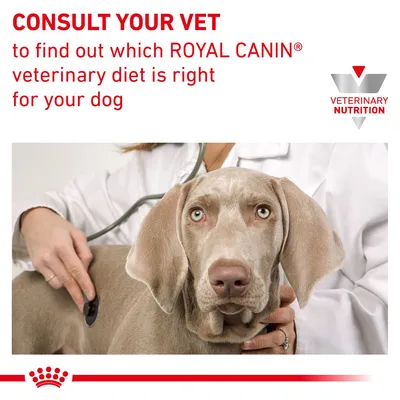 Consult your vet to find out which Royal Canin veterinary diet is right for your dog. Veterinary Nutrition branding shown.