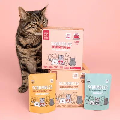 Scrumbles Gut Health Cat Food Pouches Fish in Jelly Selection