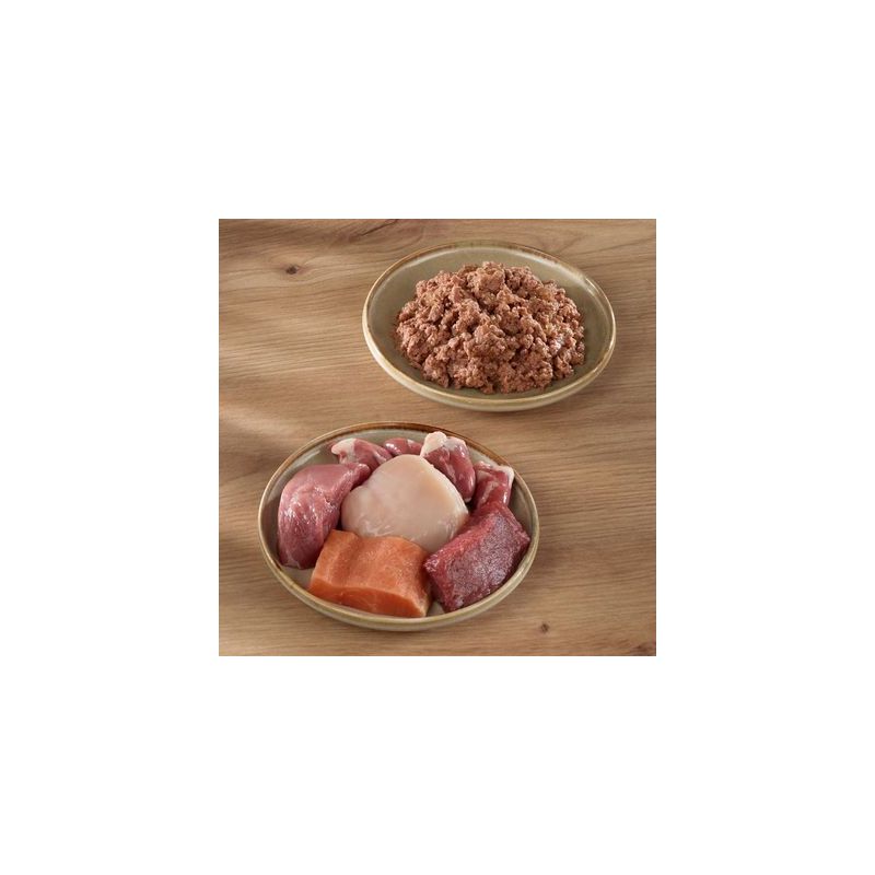 Wild Freedom Adult Kattenvoer 6 x 200 g