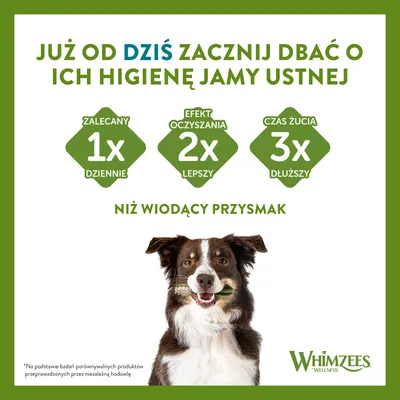 Już od dziś zacznij dbać o ich higienę jamy ustnej. Zalecany 1x dziennie, efekt oczyszczania 2x lepszy, czas żucia 3x dłuższy niż wiodący przysmak. Whimzees Wellness.