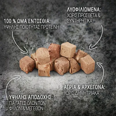 100 % ωμά εντόσθια: υψηλής ποιότητας πρωτεΐνη. Λυοφιλιωμένα: χωρίς προσθετα & συντηρητικά. Υψηλής αποδοχής: για γάτες όλων των φυλών & μεγεθών. Άγρια & αρχέγονα: χωρίς δημητριακά.