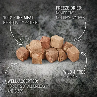 Freeze-dried pure meat treats, high-quality protein, no additives or preservatives, grain-free, well-accepted by cats of all breeds and sizes.