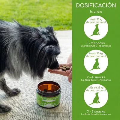 Wolfsbacher Natur Digestión saludable y sin hierba Wolfsbacher Natur Digestión saludable y sin hierba