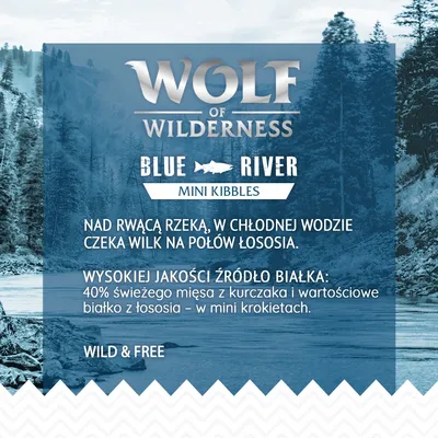 Wolf of Wilderness Blue River Mini Kibbles. 40% świeżego mięsa z kurczaka i białko z łososia w mini krokietach. Wild & Free. Nad rzeką wilk czeka na połów łososia.