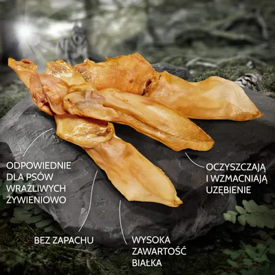 Suszone uszy na kamieniu, tekst: odpowiednie dla psów wrażliwych żywieniowo, bez zapachu, wysoka zawartość białka, oczyszczają i wzmacniają uzębienie.