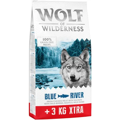 WOLF OF WILDERNESS 100% GRAIN-FREE RECIPE, BLUE RIVER, FRESH CHICKEN MEAT WITH SALMON WITH WILD BERRIES, ROOTS & WILD HERBS, +3 KG XTRA