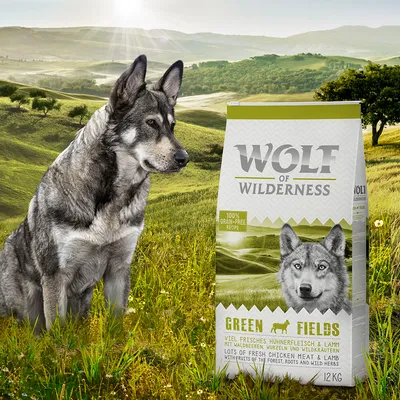 Wolf of Wilderness Green Fields suché krmivo, 12 kg, s čerstvým kuřecím masem a jehněčím, 100% bezobilná receptura, s lesními plody, kořeny a bylinkami.