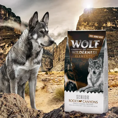 Wolf of Wilderness Elements Senior Rocky Canyons, Single Animal Protein, Free-Range Meat, 100% grain-free Rezept. Verpackung vor Canyon-Hintergrund.