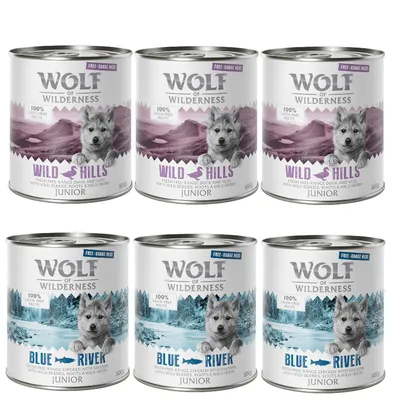 6 conserve Wolf of Wilderness Junior: 3 Wild Hills (rață și vițel, fructe de pădure) și 3 Blue River (pui cu somon, fructe de pădure), 800g fiecare. Text vizibil: 100% grain free, free-range meat.