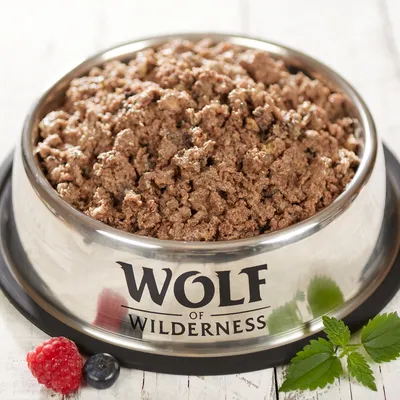 Wolf of Wilderness märkäruoka ruostumattomasta teräskupista, ympärillä vadelmia, mustikoita ja vihreitä lehtiä.
