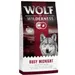 Výhodné balení: 2 x 12 kg Wolf of Wilderness granule