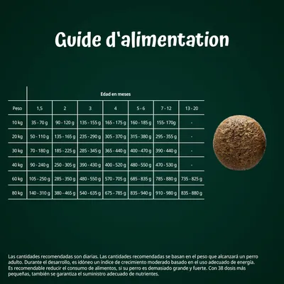Tabla de guía de alimentación para perros según peso (10–80 kg) y edad en meses (1,5 a 20), con cantidades diarias recomendadas en gramos. Texto principal en francés.