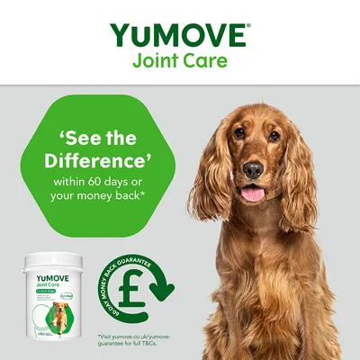 YuMOVE Joint Care. 'See the Difference' innerhalb von 60 Tagen oder Geld zurück. 60-Tage-Geld-zurück-Garantie abgebildet.