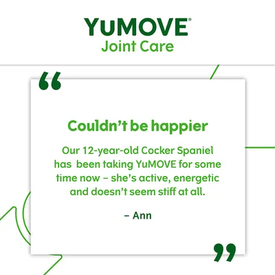 YuMOVE Joint Care. Kundenbewertung: 'Unser 12-jähriger Cocker Spaniel nimmt YuMOVE seit einiger Zeit, ist aktiv, energiegeladen und wirkt nicht steif.' – Ann