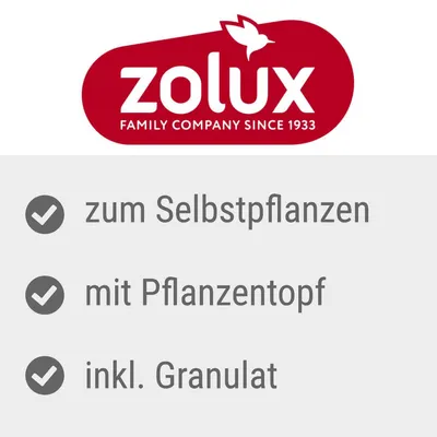 Zolux Family Company sedan 1933. Egenskaper: för egen plantering, med planteringskruka, inklusive granulat.