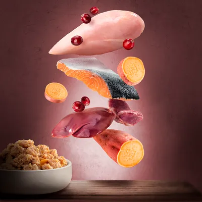 Widoczne składniki: surowa pierś z kurczaka, filet z łososia ze skórą, wątróbka, kawałki batata, żurawina oraz miska z mokrą karmą dla zwierząt.
