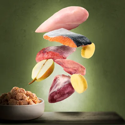 Bowl of pet food with floating raw chicken breast, salmon fillet, beef, heart, liver, potato slices and half an apple above it. All ingredients clearly visible against green background.