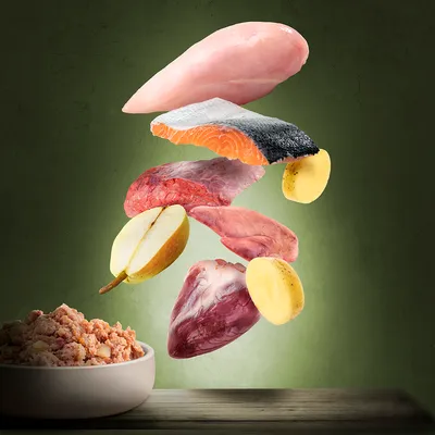 Raw chicken breast, salmon fillet, red meat, apple slice, potato pieces and organ meats floating above a bowl of minced pet food on wooden table, green background.