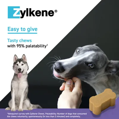 Zylkene Calming Chews for Large Dogs 30 - 60 kg - 14 Chews Zylkene Calming Chews for Large Dogs 30 - 60 kg - 14 Chews