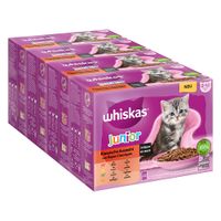 Whiskas Junior klasična izbira v omaki, 48 porcijskih vrečk za mačke od 2 do 12 mesecev. Okusi: govedina, piščanec, jagnjetina, perutnina. 100% uravnotežena prehrana.