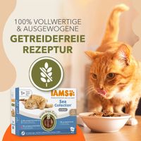 IAMS Sea Collection in Gravy, getreidefreie Rezeptur, 100% vollwertig und ausgewogen. Für Katzen ab 1 Jahr. Sorten: Lachs & grüne Bohnen, Makrele & Kabeljau, Ozeanfisch & wilder Thunfisch.