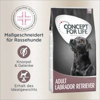 trockenfutter hund hochwertig AniForte Trockenfutter Rind Mini fr kleine Hunde