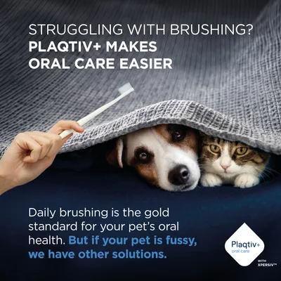 Plaqitv+ oral care makes dental hygiene easier. Daily brushing is standard, but there are alternatives for fussy pets. Plaqtiv+ logo bottom right. Plaqitv+ oral care makes dental hygiene easier. Daily brushing is standard, but there are alternatives for fussy pets. Plaqtiv+ logo bottom right.