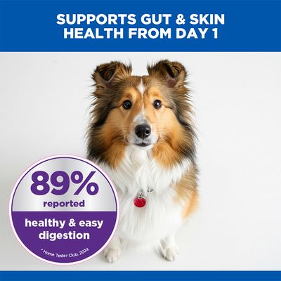 Hill's Science Plan Sensitive Stomach & Skin Adult 1 + Medium with Chicken