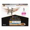 PURINA PRO PLAN Veterinary Diets Feline NF Renal Function Advanced Care 10 x 85g