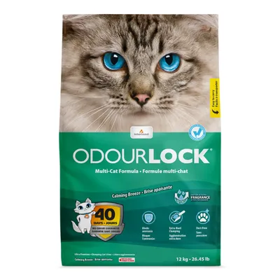 Arena para gatos Intersand OdourLock Multi-Cat Formula, Calming Breeze, 12 kg. Garantía sin olores 40 días, bloquea amoníaco, aglomeración extra dura, sin polvo. Texto en inglés y francés.