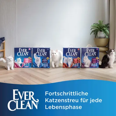 Ever Clean Katzenstreu in vier Sorten: Kitten, Extra Hygiene, Multi Cat und Senior. Text: Fortschrittliche Katzenstreu für jede Lebensphase.