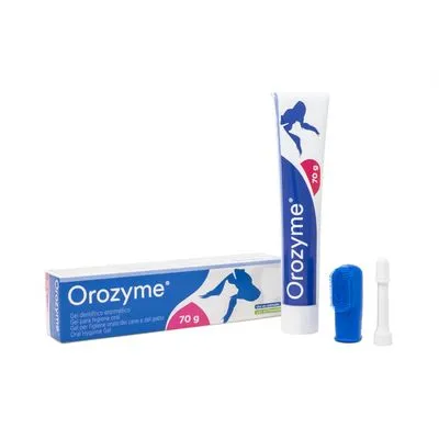 Orozyme 70 g gel voor gebitsverzorging, zichtbare tube, doos en twee opzetstukken. Tekst: Orozyme, 70 g, Oral Hygiene Gel. Orozyme 70 g gel voor gebitsverzorging, zichtbare tube, doos en twee opzetstukken. Tekst: Orozyme, 70 g, Oral Hygiene Gel.