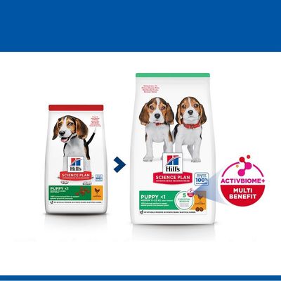 Hill's Science Plan Puppy <1 Medium с пиле