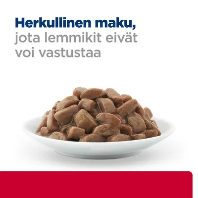 Herkullinen maku, jota lemmikit eivät voi vastustaa. Valkoisella lautasella ruskeita kastikkeessa olevia paloja.