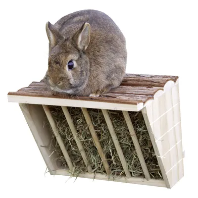 Holz-Heuraufe mit integriertem Sitzbereich, gefüllt mit Heu. Kaninchen sitzt oben auf der Raufe.