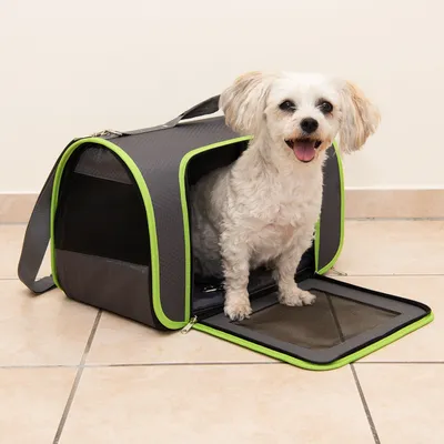 Sac de transport pour petit chien, structure en tissu noir avec bordures vertes, ouverture zippée à l’avant et bandoulière visible.