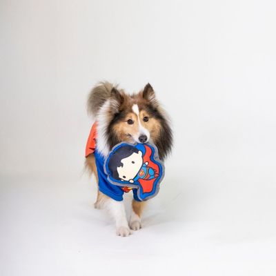 Giocattolo con design Superman, mantello rosso e tuta blu, adatto per pet.