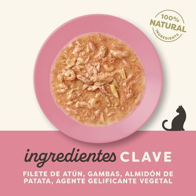 Applaws Cat en salsa 12 x 70 g - Pack Ahorro